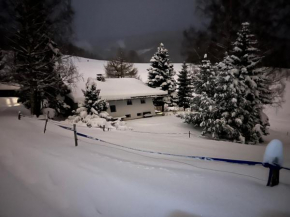 Chalupa V Tajchách Rokytnice Nad Jizerou